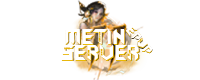 Metin2 PvP